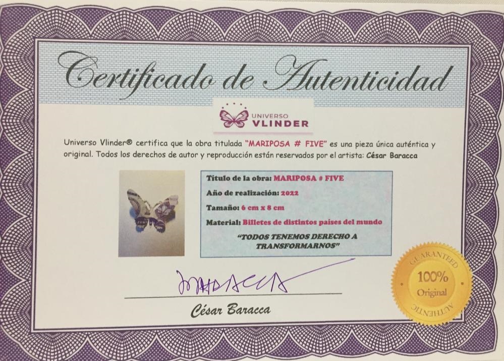 CERTIFICADO BARACCA MARI 5