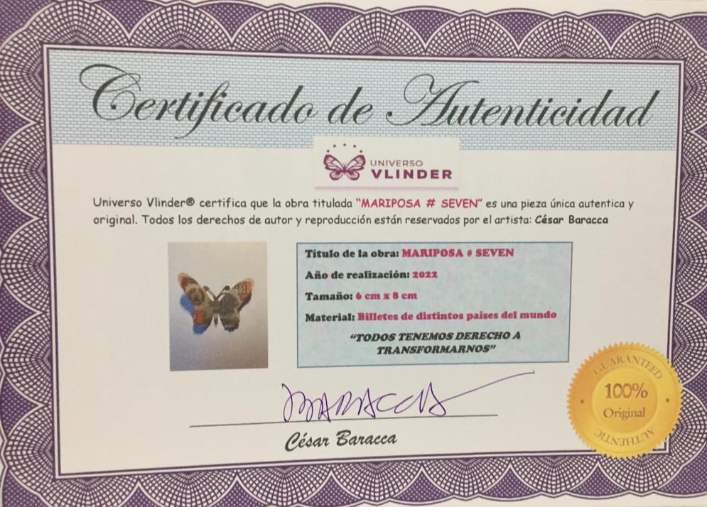 CERTIFICADO BARACCA MARI 7