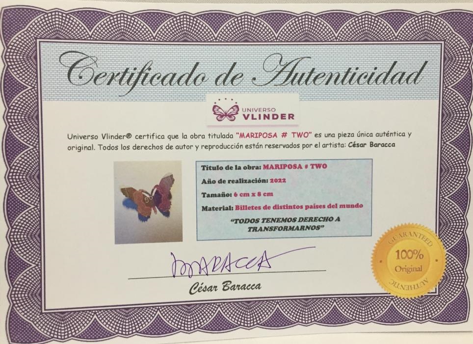 CERTIFICADO BARRACA MARI 2